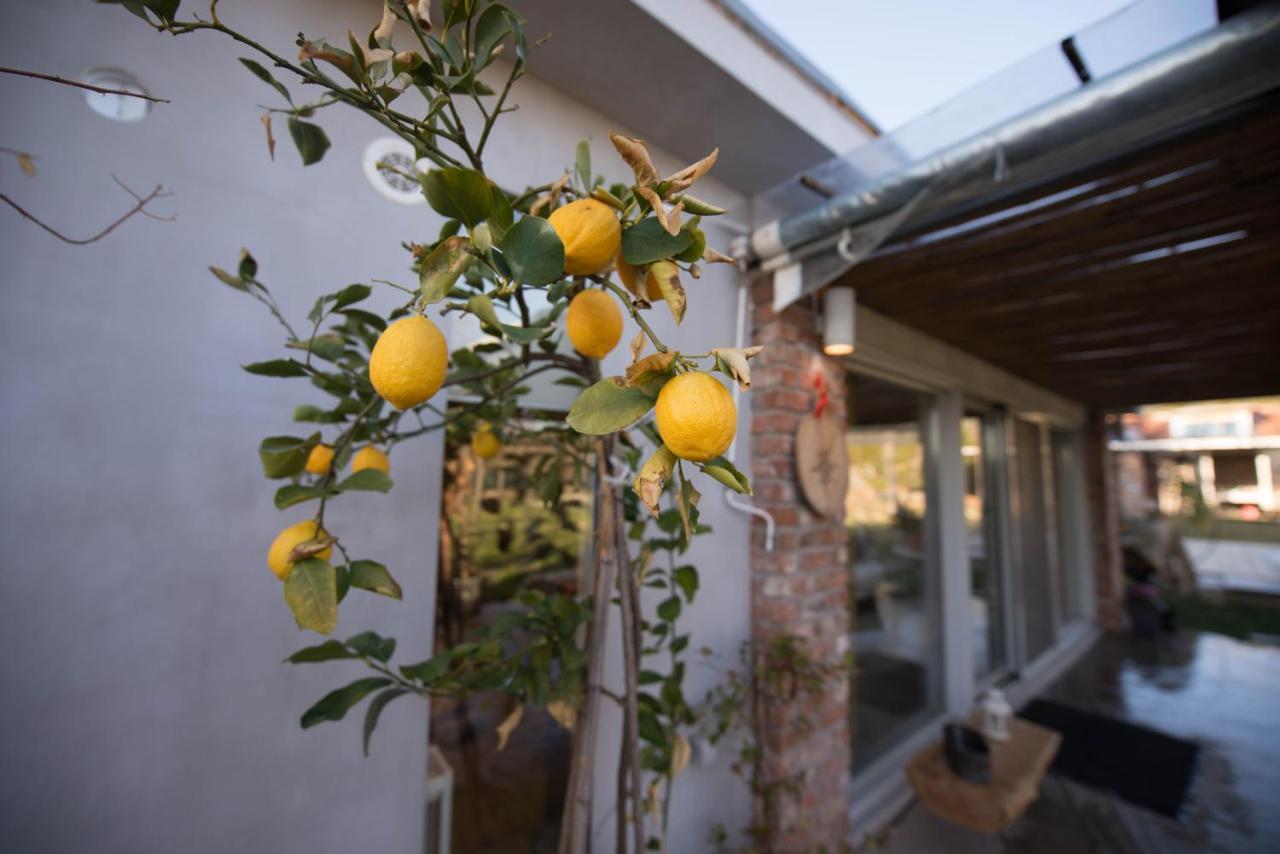 볼로스 Sinanis Garden House 아파트 외부 사진
